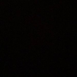 Meet your Posher, Amelia